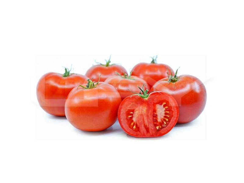Tomato / 番茄